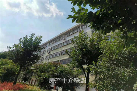 羊山实验小学旁林溪公馆精装两房采光好证件齐全可按揭
