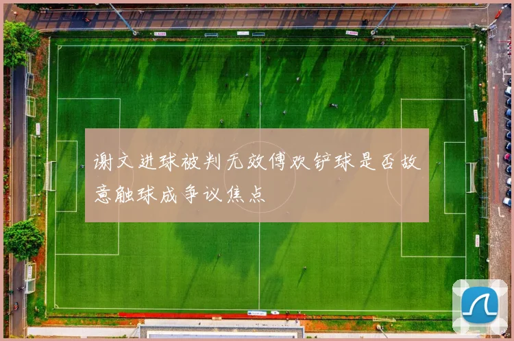 谢文进球被判无效傅欢铲球是否故意触球成争议焦点